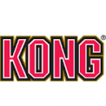 KONG LOGO